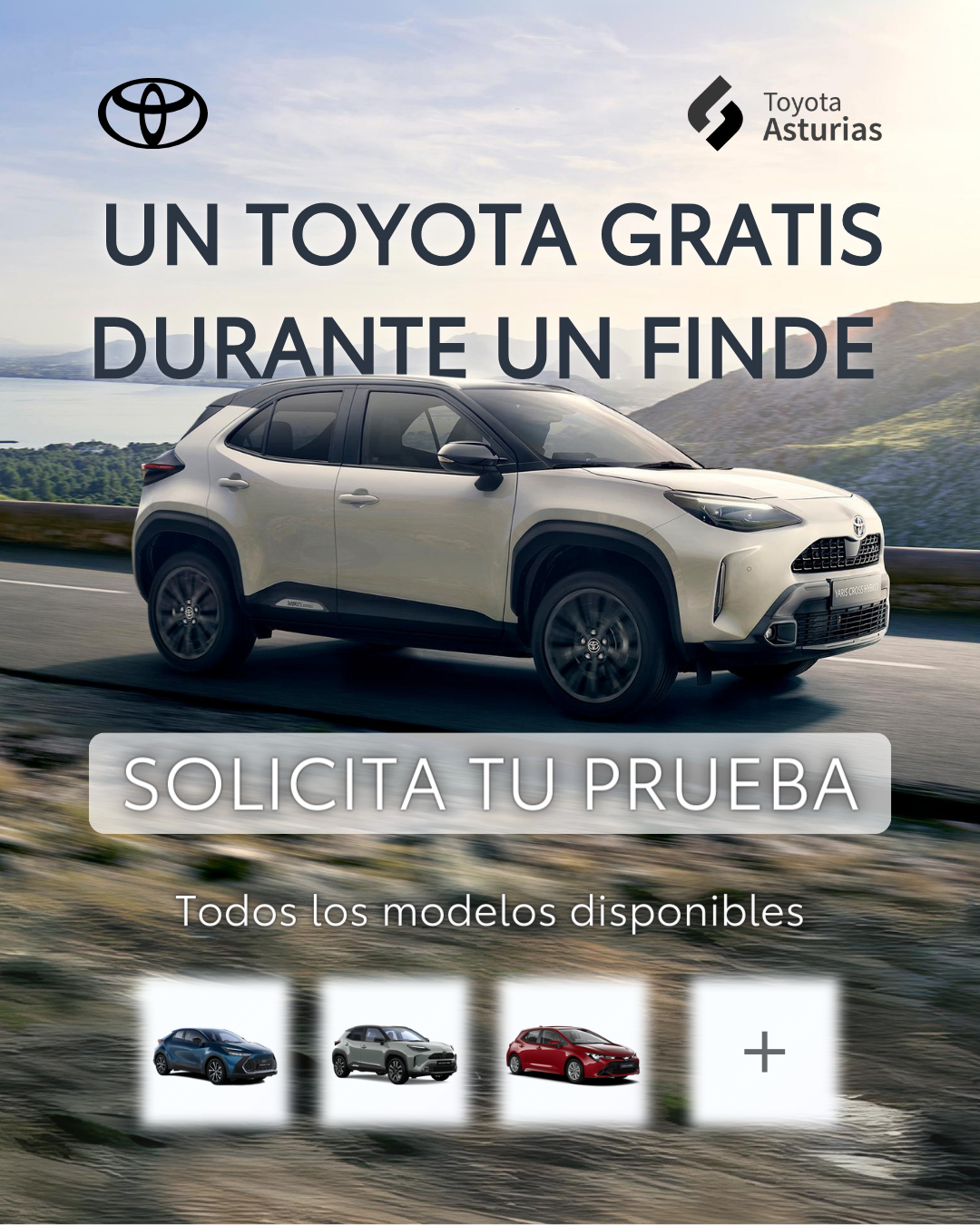 Grupo Leomotor - Toyota