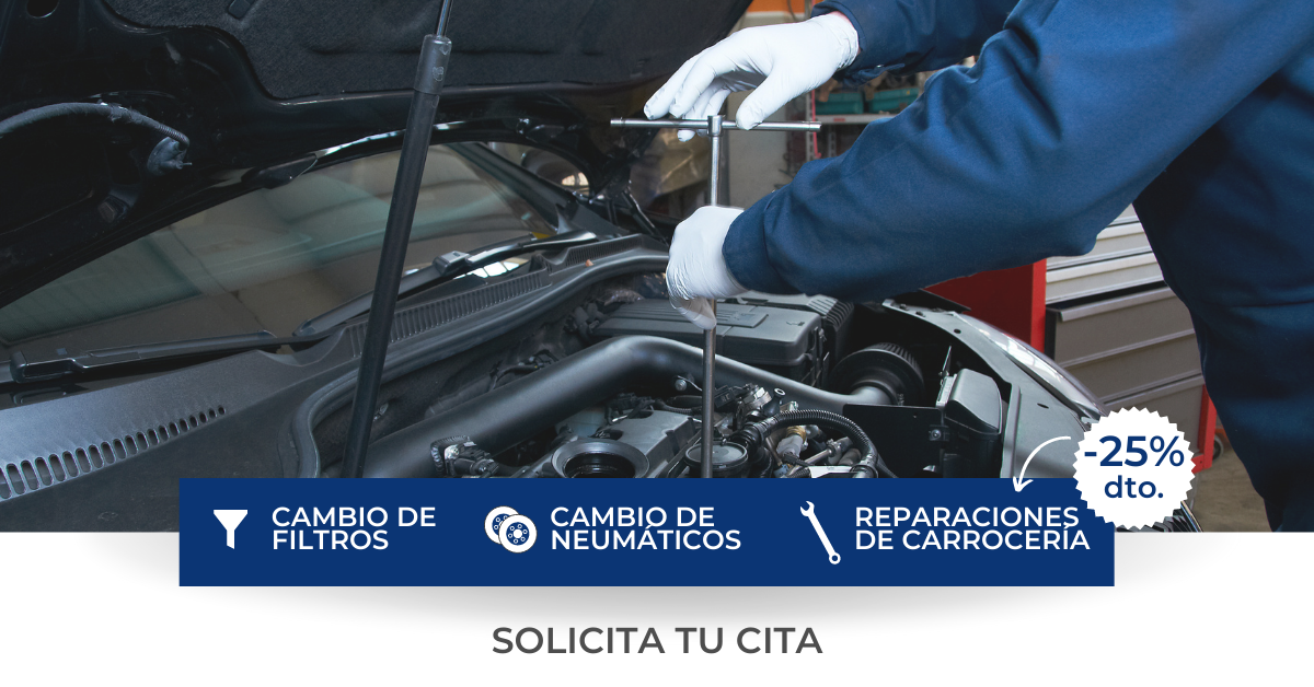 TÉCNICAS Y SERVICIO DE AUTOMOCIÓN, S.A. TÉCNICAS Y SERVICIO DE AUTOMOCIÓN, S.A.