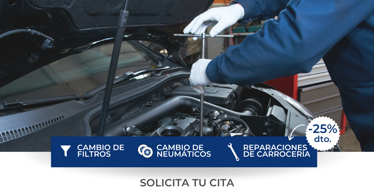 TÉCNICAS Y SERVICIO DE AUTOMOCIÓN, S.A.