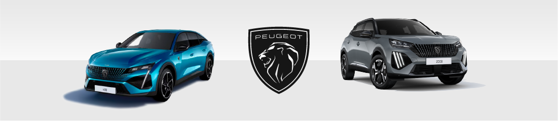 Peugeot segunda mano Móstoles