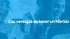 ¿Qué es un híbrido?