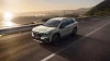 NUEVAS EDICIONES LIMITADAS DE LOS VITARA Y S-CROSS