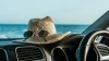 5 rutas en coche de ocasión por España perfectas para disfrutar en verano 5 rutas en coche de ocasión por España perfectas para disfrutar en verano