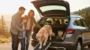 Qué coche de ocasión comprar si tienes mascotas Qué coche de ocasión comprar si tienes mascotas