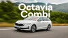 Octavia Combi para empresas