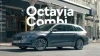 Octavia Combi para empresas