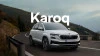 Karoq para empresas