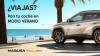 Verano MODO ON