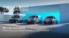 Peugeot días profesional
