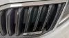 Skoda Scout 2.0 TDI 110KW (150CV) DSG 4X4 SCOUT
