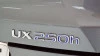 Lexus UX 2.0 250h Premium Lexus UX 2.0 250h Premium