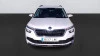 Skoda Kamiq 1.0 TSI 81kW (110CV) DSG AMBITION