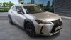 Lexus UX 2.0 250h Business