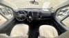 RIMOR SEAL 9 95 PLUS
