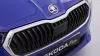 Skoda Fabia GO 1,0 MPI 59 KW (80 CV) MANUAL 5 VEL.