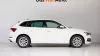 Skoda Scala 1.0 TSI 81KW (110 CV) Ambition