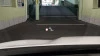 Kia Sorento 1.6 T-GDi HEV Emotion 4x2 (Pack Luxury) Auto 169 kW (230 CV)
