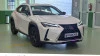 Lexus UX 250h Business 2WD 135 kW (184 CV)
