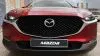 Mazda CX-30 (2020) SKYACTIV-G 1.0 122CV MT EVOLUTION