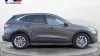 Ford Kuga ST-Line 1.5 EcoBlue 88kW (120CV) Auto
