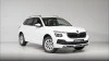 Skoda Kamiq 1.0 TSI 85kW (115CV) DSG SELECTION