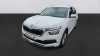 Skoda Kamiq 1.0 TSI 81kW (110CV) DSG Ambition