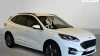 Ford Kuga ST-Line 2.5 Duratec FHEV 140kW Auto