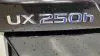Lexus UX UX250h 2WD BUSINESS