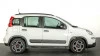 Fiat Panda City Life Hybrid 1.0 Gse 51kw (70CV) Fiat Panda City Life Hybrid 1.0 Gse 51kw (70CV)
