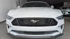 Ford Mustang 5.0 Ti-VCT V8 331KW Mustang GT AT(Fast.)