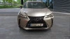 Lexus UX 2.0 250h Business