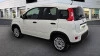 Fiat Panda Fiat Panda Hybrid 1.0 GSE Van Fiat Panda Fiat Panda Hybrid 1.0 GSE Van