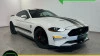 Ford Mustang 5.0 GT 325KW 442CV