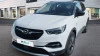 Opel Grandland X 1.2 Turbo Opel 2020 Opel Grandland X 1.2 Turbo Opel 2020