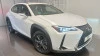 Lexus UX SUV BUSINESS 2.0 L Híbrido (2WD)