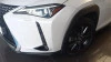 Lexus UX SUV BUSINESS 2.0 L Híbrido (2WD)
