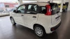 Fiat Panda Panda 1.0 Hybrid 51kW (70cv) ICON Fiat Panda Panda 1.0 Hybrid 51kW (70cv) ICON