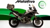 Triumph TIGER 1200 Rally Pro 
