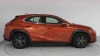Lexus UX 2.0 250h Business