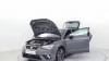 Seat Ibiza 1.0 TSI 85 KW (115 CV) DSG START/STOP FR XS Seat Ibiza 1.0 TSI 85 KW (115 CV) DSG START/STOP FR XS