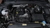 Volkswagen Golf 1.0 TSI 81 kW (110 CV)
