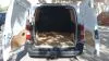 Opel Combo 1.5 TD S/S 75kW (100CV) Express L H1 650