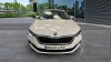 Skoda Scala 1.0 TSI 81KW (110 CV) Ambition Skoda Scala 1.0 TSI 81KW (110 CV) Ambition