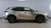 Lexus NX 2.5 300h Premium Plus 4WD