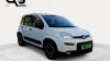 Fiat Panda 1.2 Lounge 51 kW (69 CV) Fiat Panda 1.2 Lounge 51 kW (69 CV)