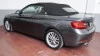 BMW Serie 2 220i Cabrio 135 kW (184 CV) BMW Serie 2 220i Cabrio 135 kW (184 CV)