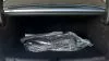 BYD SEAL Design RWD