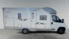 GIOTTILINE T 36 THERRY T36