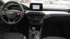 Ford Focus 1.0 Ecoboost MHEV 92kW Trend+