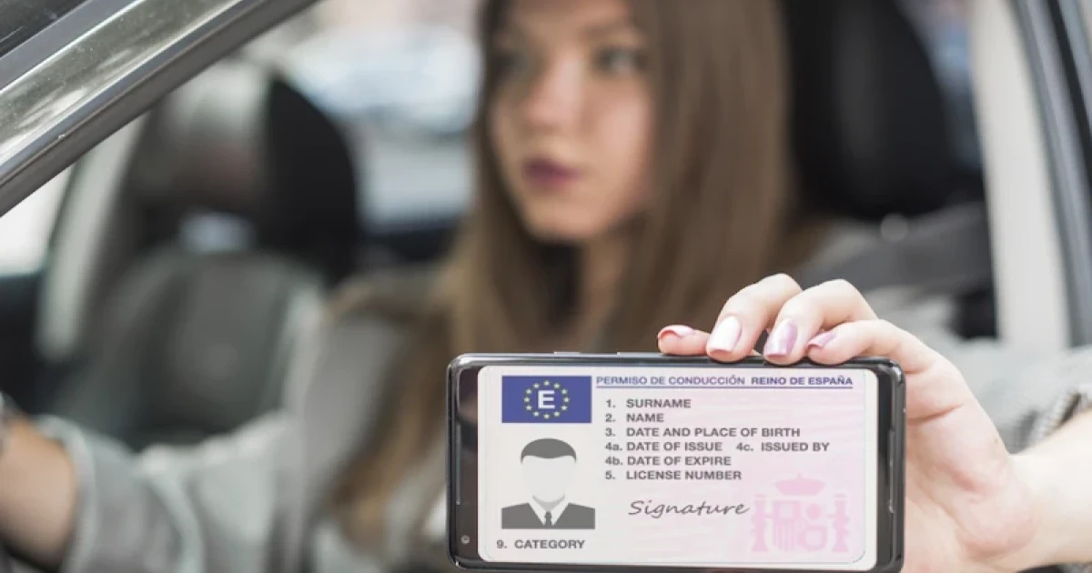 Conduzir Stracker Ver mi carnet de conducir online: guía completa para gestionar tu ...